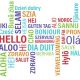 idiomas empresa traduccion