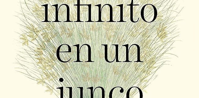 infinito-junco-traduccion-literaria