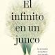 infinito-junco-traduccion-literaria