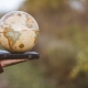 evolución traducción | agencia de traducción